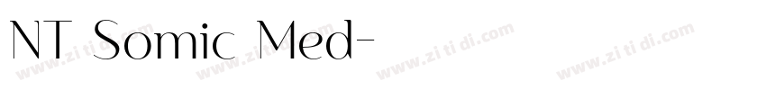 NT Somic Med字体转换